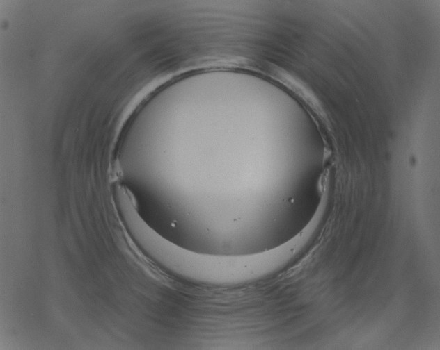 X0000078231332200612011530