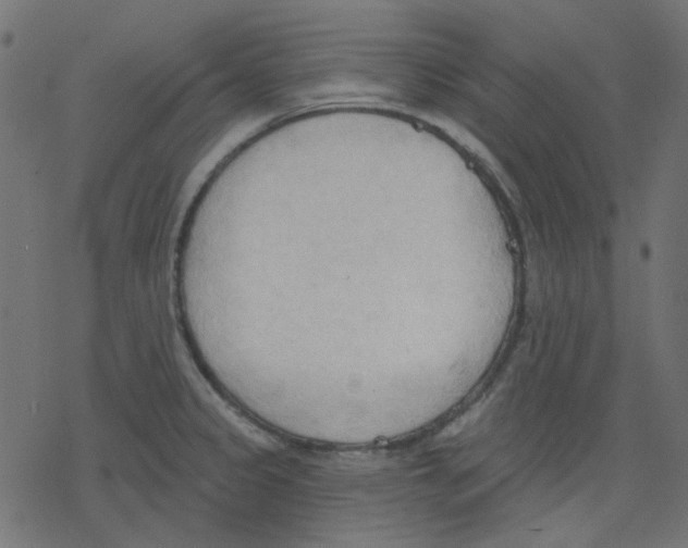 X0000078231333200612011530