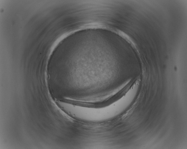 X0000078231334200612011530