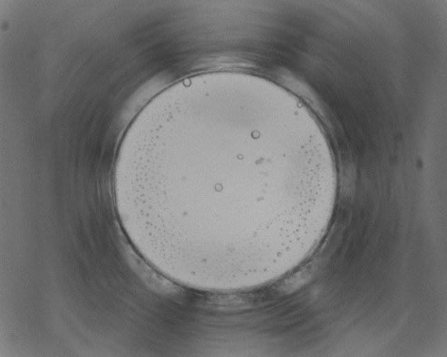 X0000078231338200612011530