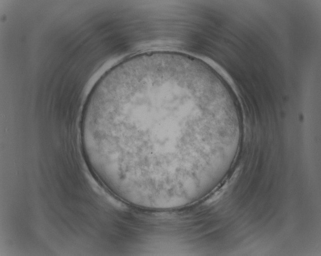 X0000078231341200612011530