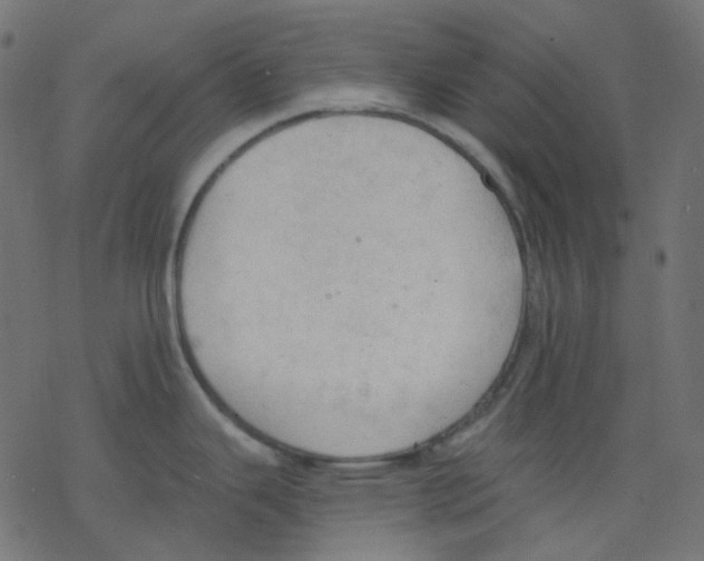 X0000078231343200612011530