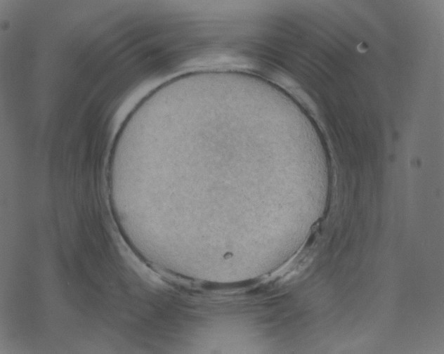 X0000078231344200612011530