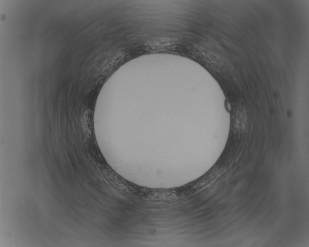 X0000078231346200612011529