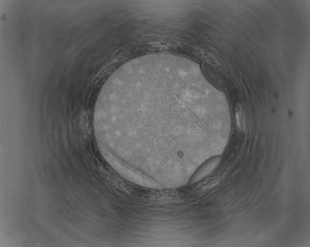 X0000078231347200612011529