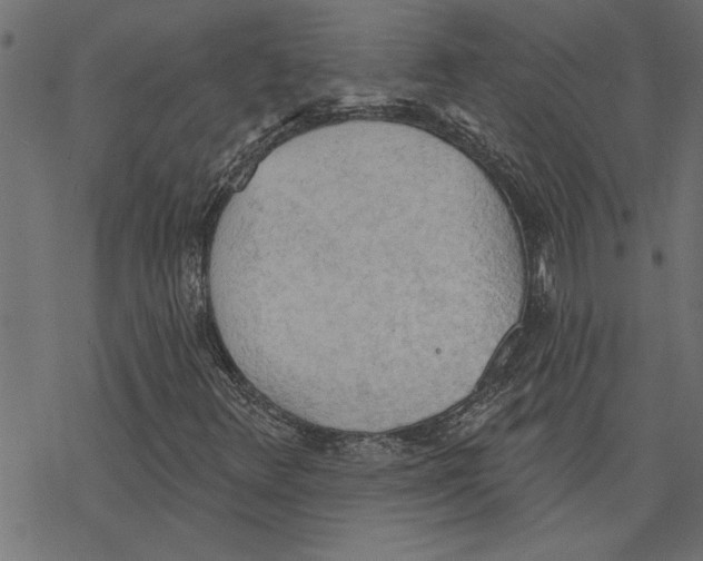 X0000078231348200612011529