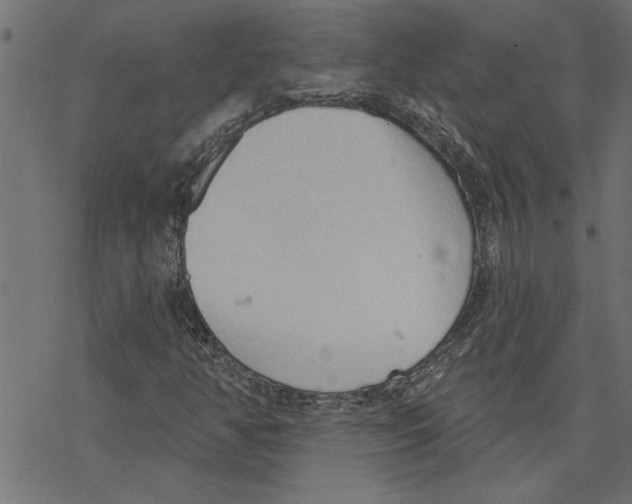 X0000078231350200612011529