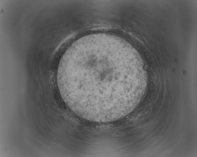 X0000078231351200612011529