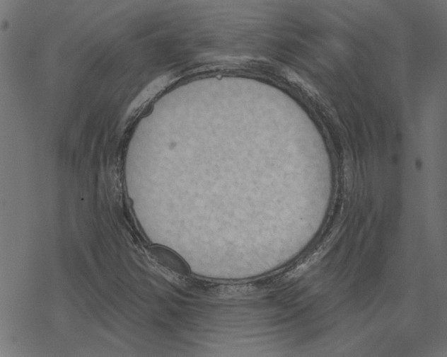 X0000078231354200612011529