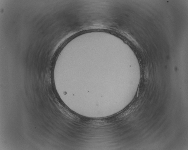 X0000078231356200612011529