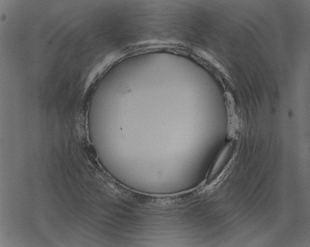 X0000078231357200612011529