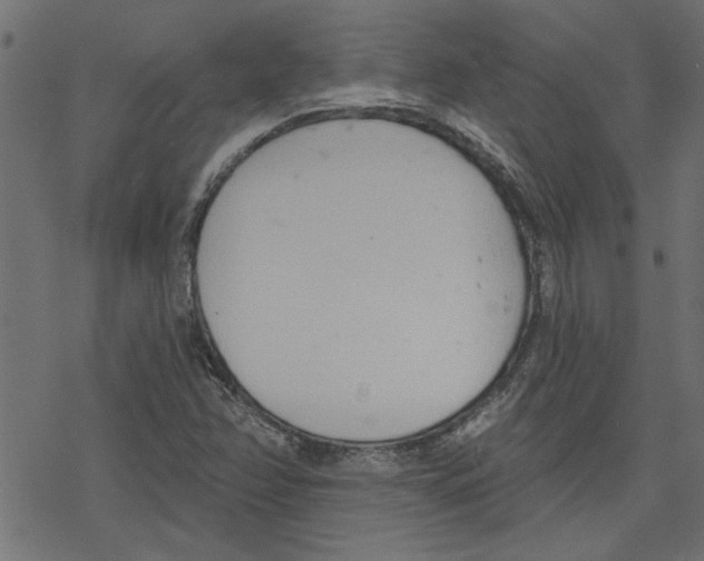 X0000078231358200612011529