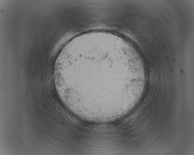 X0000078231359200612011529