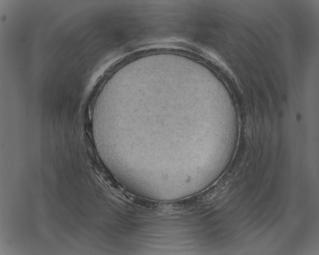 X0000078231360200612011529