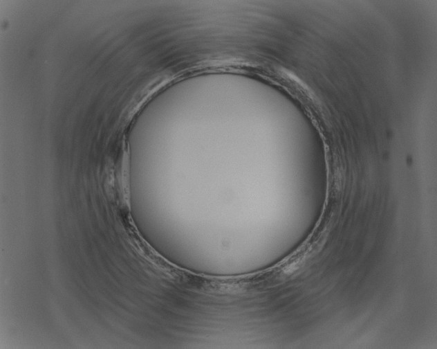 X0000078231361200612011529