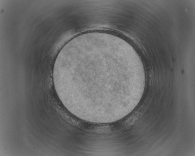 X0000078231363200612011529