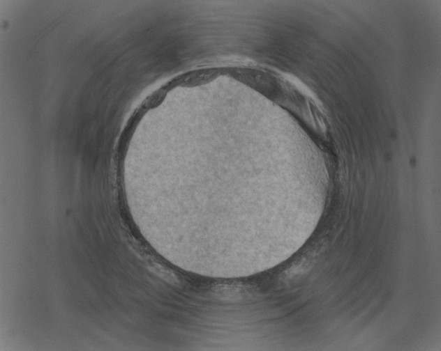 X0000078231364200612011529