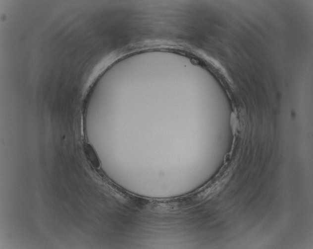 X0000078231365200612011529