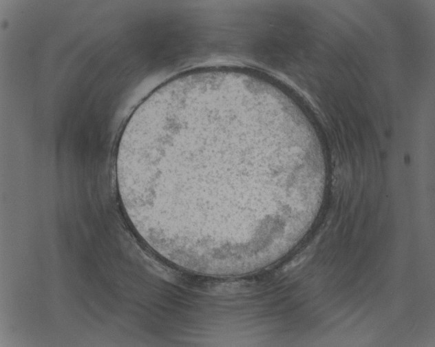 X0000078231367200612011529