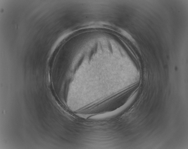 X0000078231368200612011529