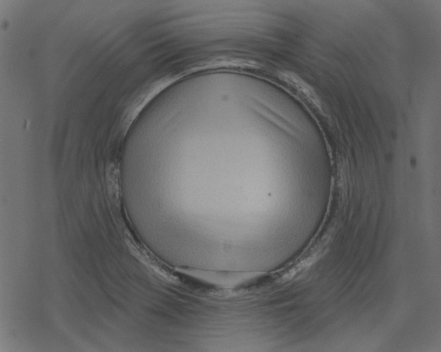 X0000078231369200612011529