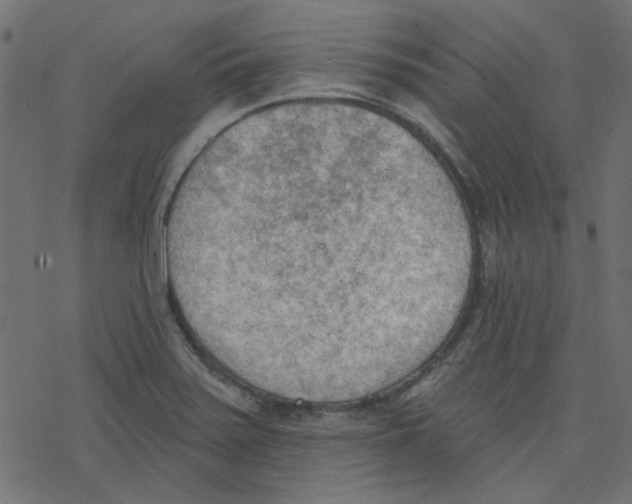 X0000078231371200612011529