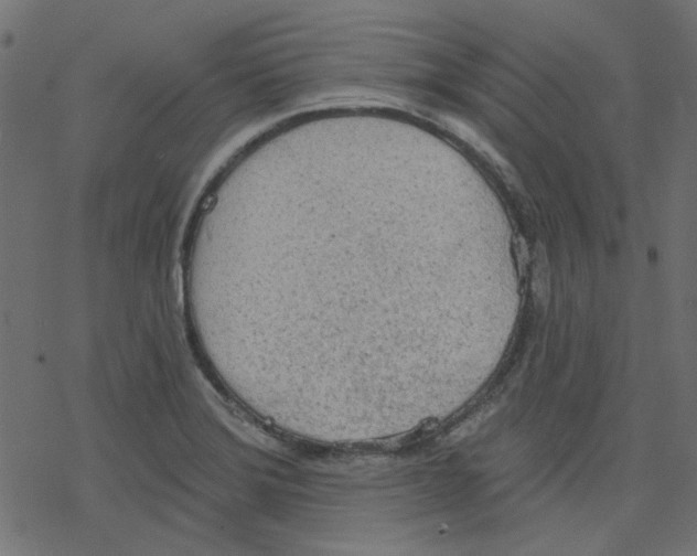 X0000078231372200612011529