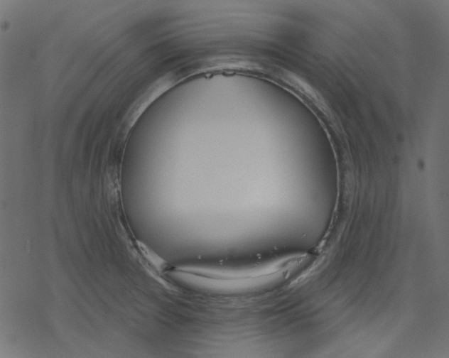 X0000078231377200612011529