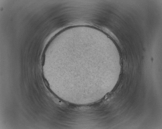 X0000078231380200612011529