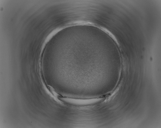 X0000078231381200612011529