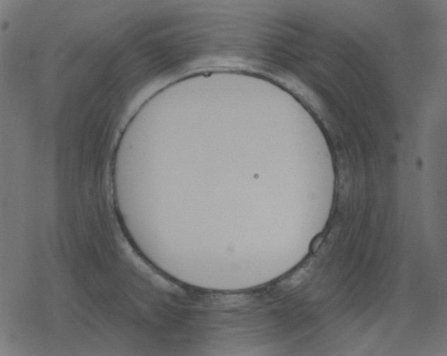 X0000078231382200612011529