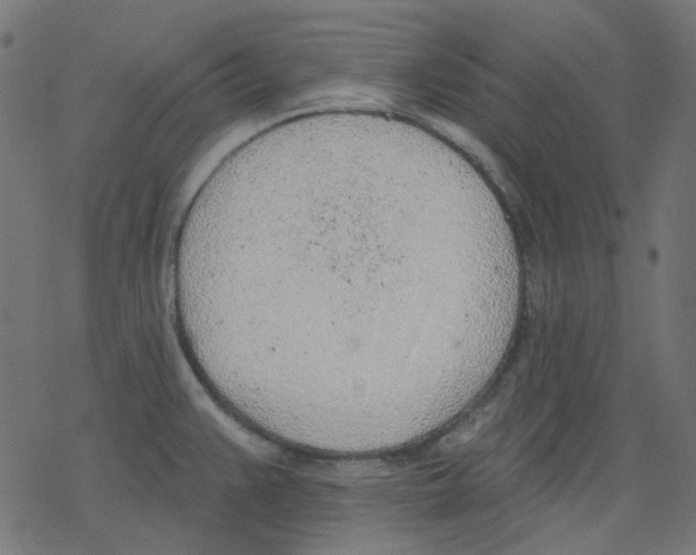 X0000078231383200612011529