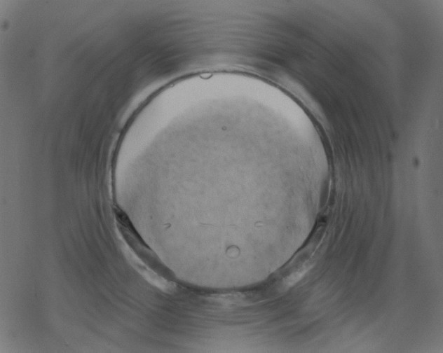 X0000078231388200612011529