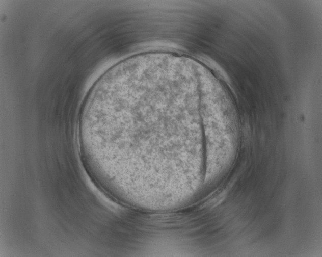 X0000078231391200612011529