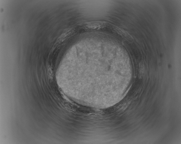 X0000078231394200612011528