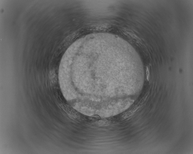 X0000078231395200612011528