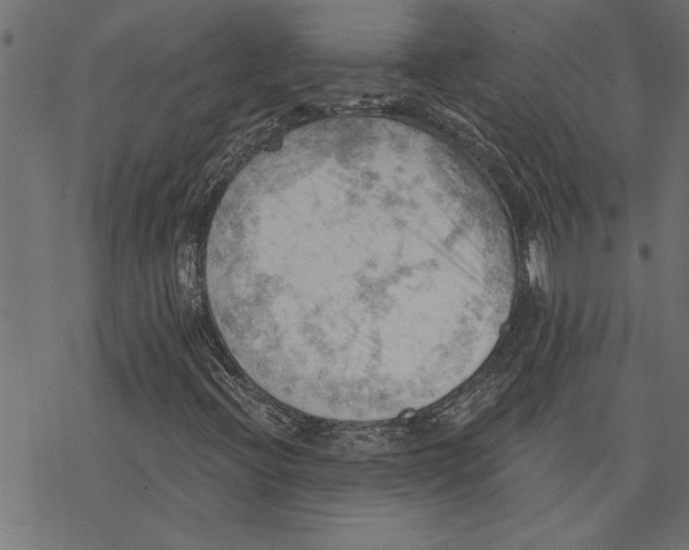 X0000078231396200612011528