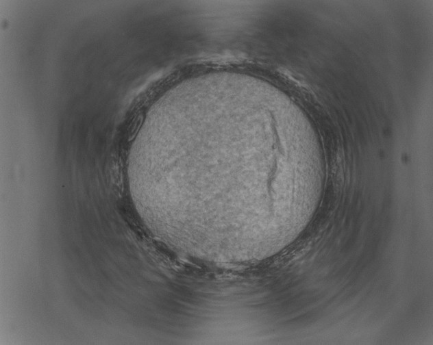 X0000078231398200612011528