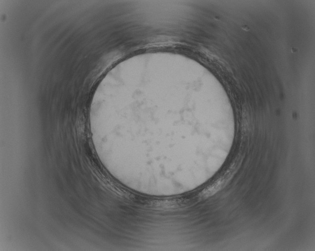 X0000078231401200612011528