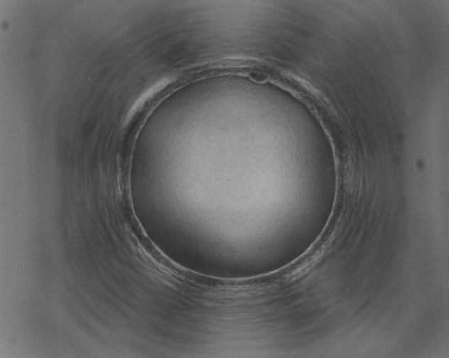 X0000078231402200612011528