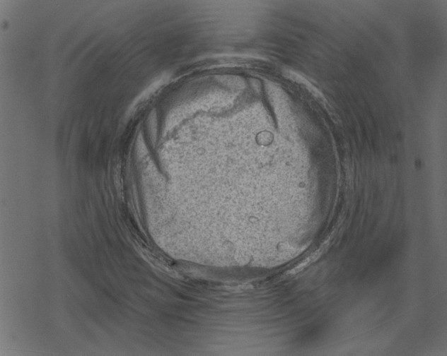 X0000078231403200612011528