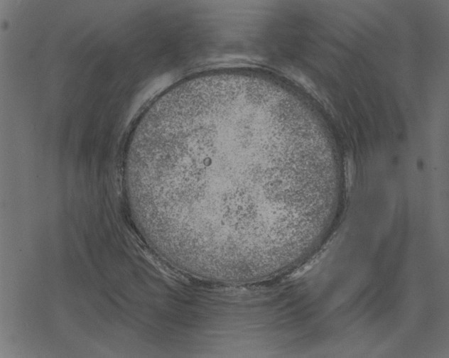 X0000078231405200612011528