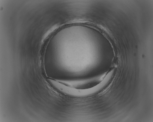 X0000078231406200612011528