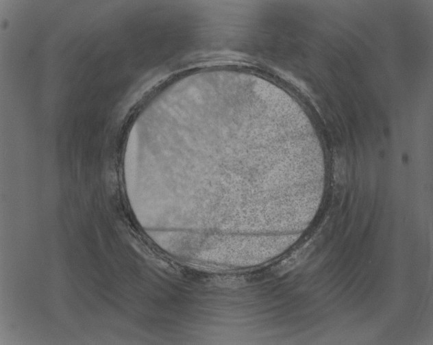 X0000078231407200612011528