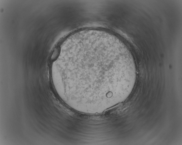 X0000078231408200612011528