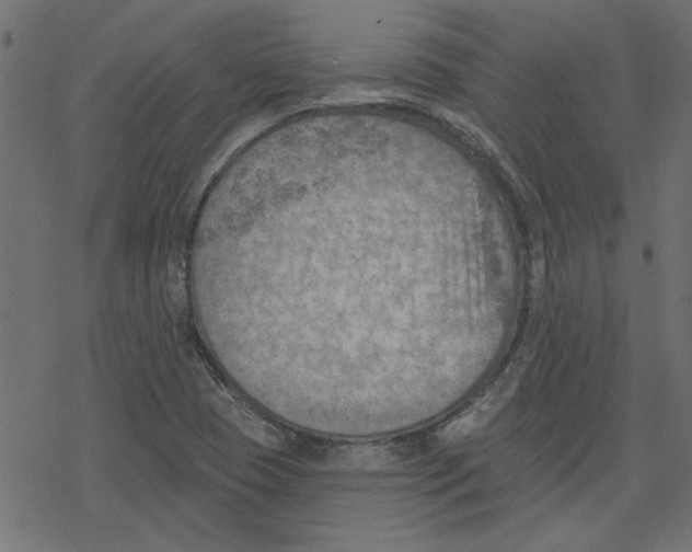 X0000078231409200612011528