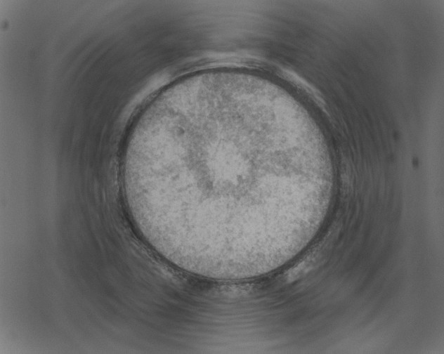 X0000078231411200612011528