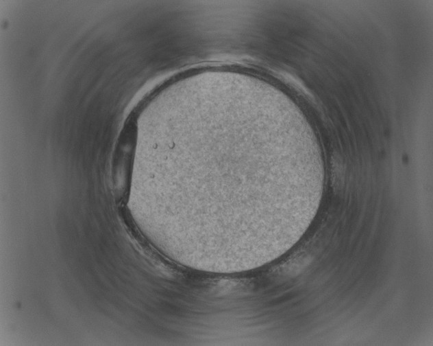 X0000078231412200612011528