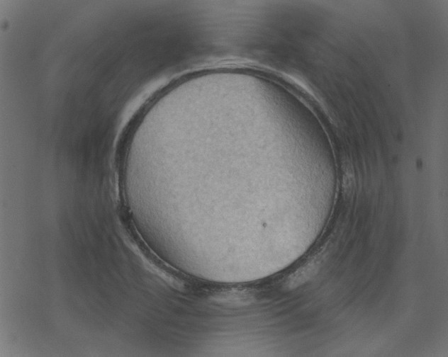 X0000078231414200612011528