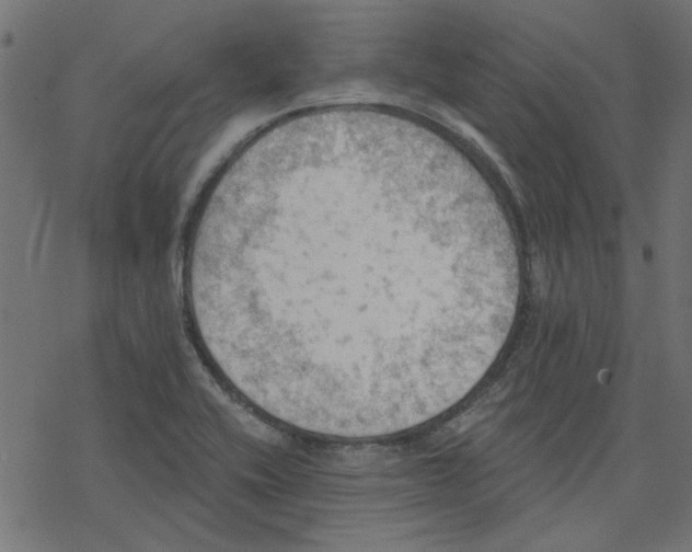 X0000078231416200612011528